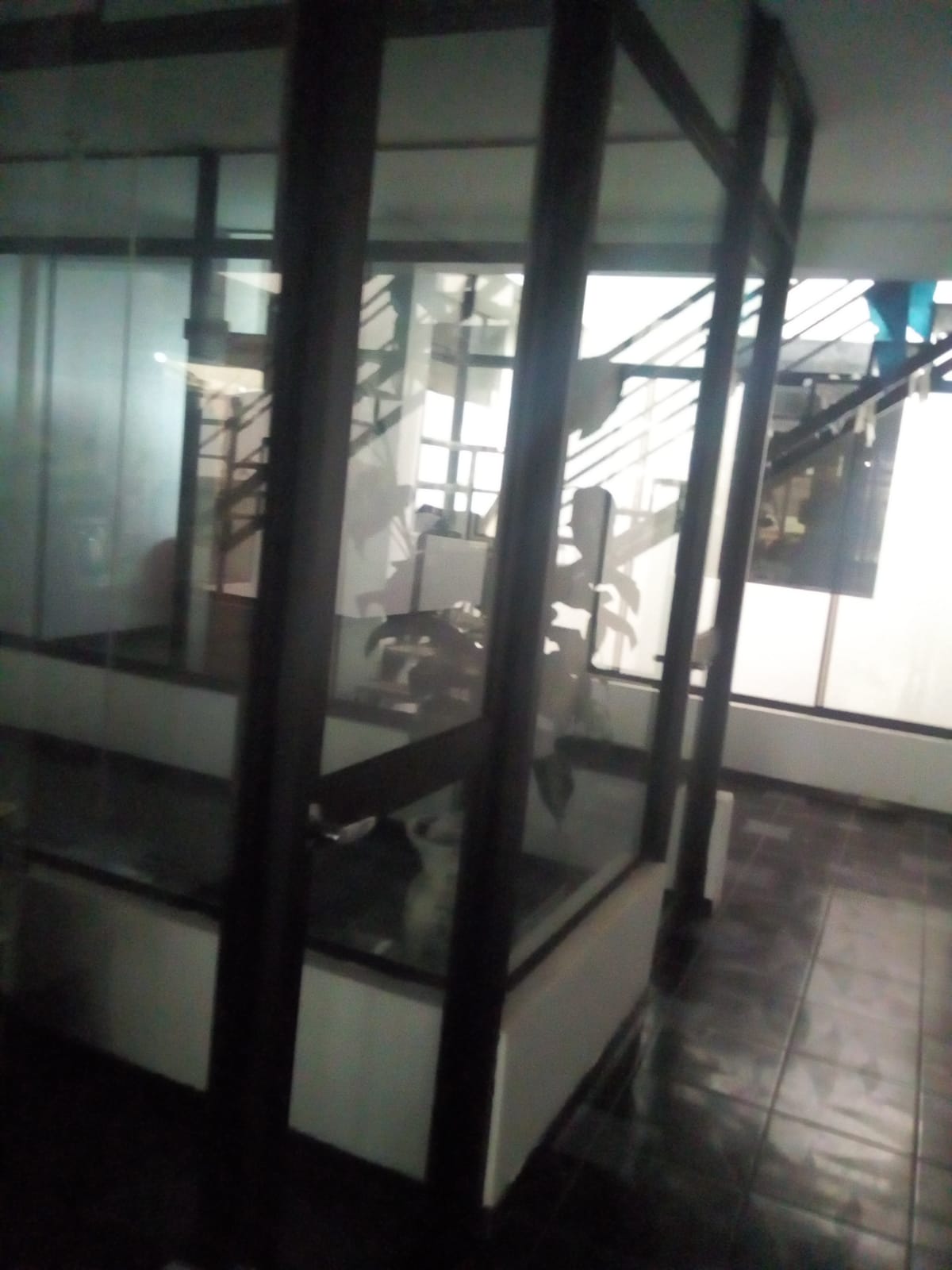 Luz natural constante de piso a techo
